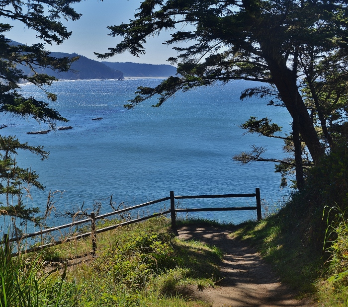 Cape Arago, scenic view